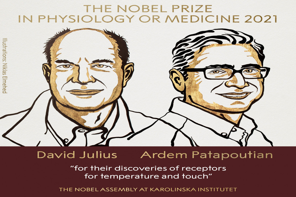 برندگان نوبل 2021 پزشکی