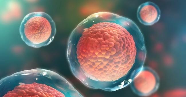 ثبت 365 اختراع در حوزه سلول‌ های بنیادی