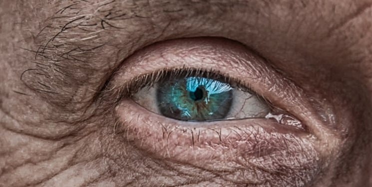 تاثیر یک اسید آمینه بر روی سلامت انسان کشف شد