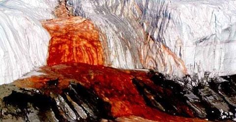 معمای آبشار خونین حل شد